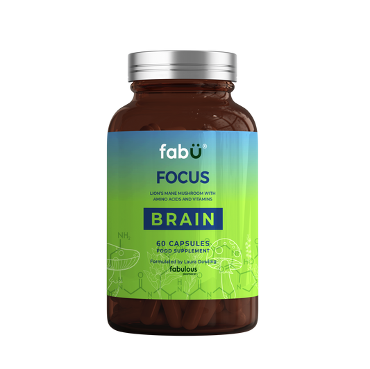 fabu FOCUS BRAIN