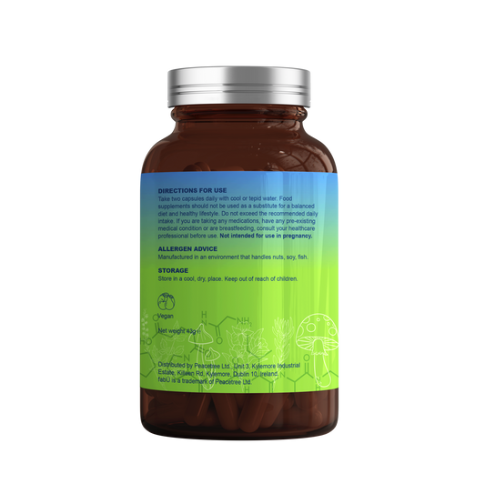 fabu FOCUS BRAIN